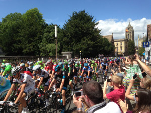 Tour de France cyclists