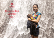 Calendar 2017